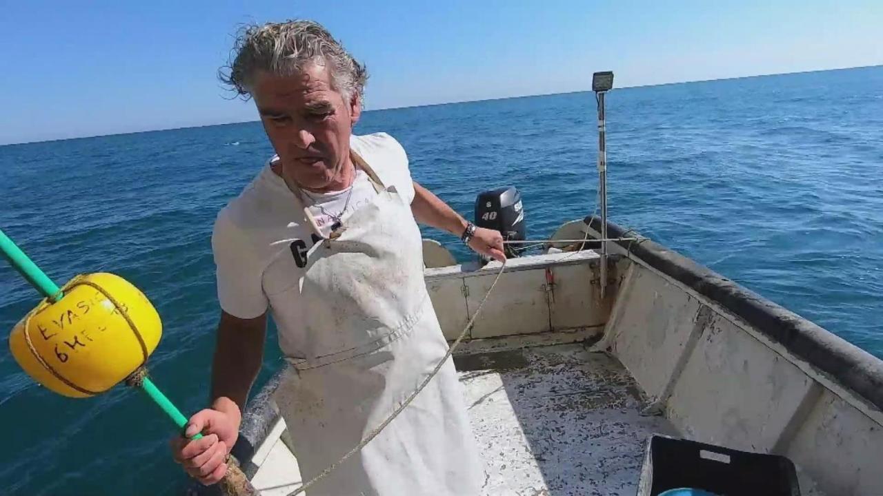 Dimore Di Portadibasso Peschici Exteriér fotografie